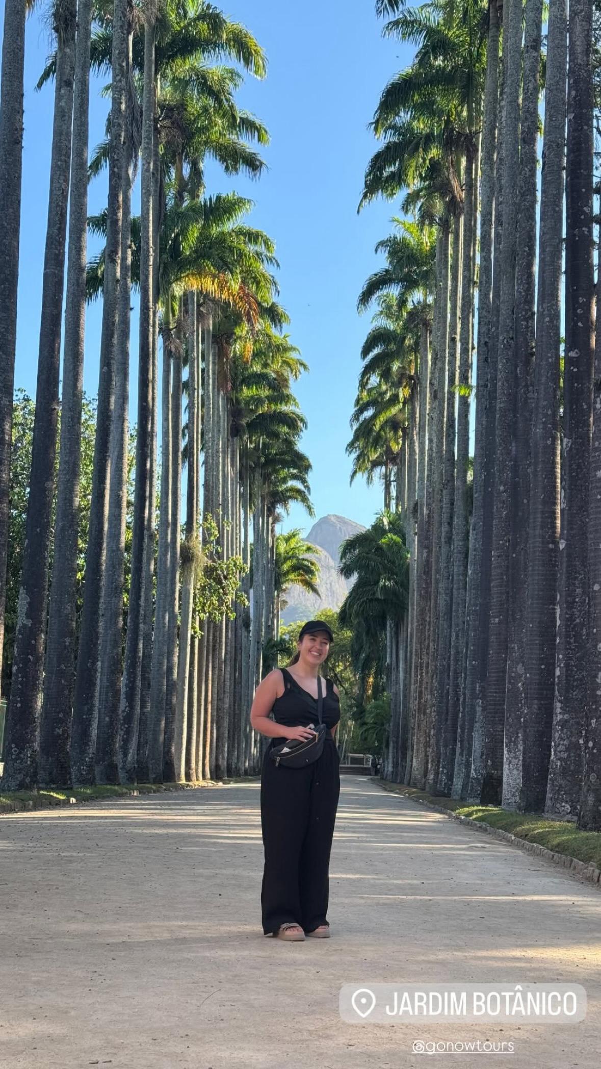 Floresta da Tijuca - Mata Atlântica