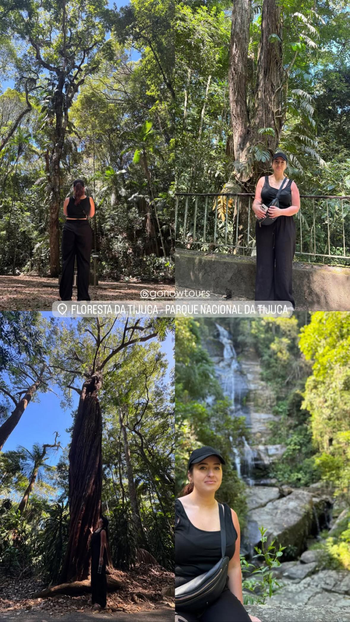 Floresta da Tijuca - Trilha