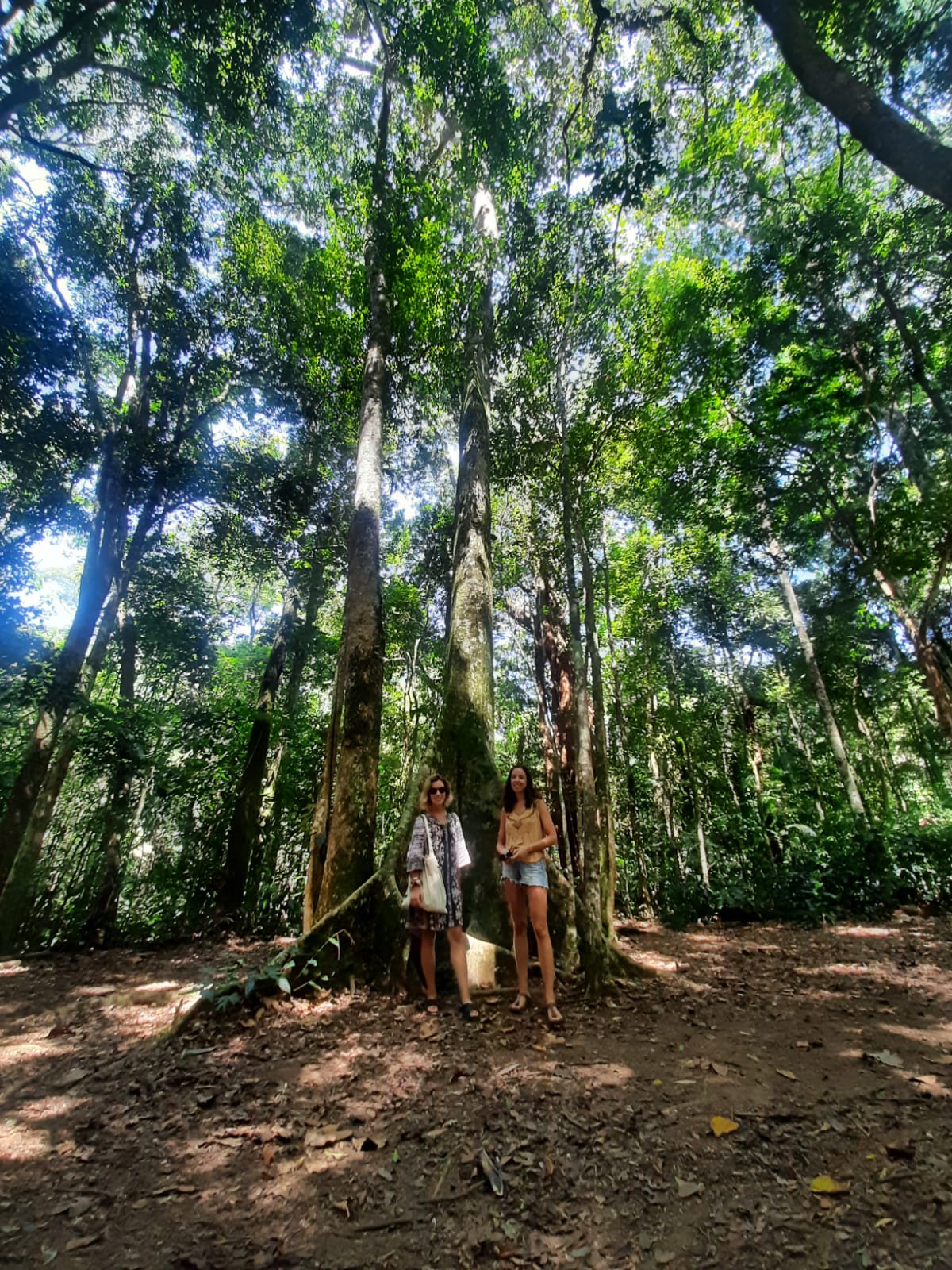 Floresta da Tijuca - Cachoeira