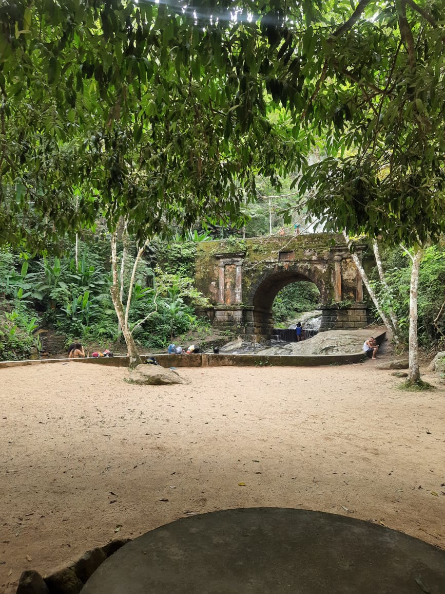 Floresta da Tijuca - Flora