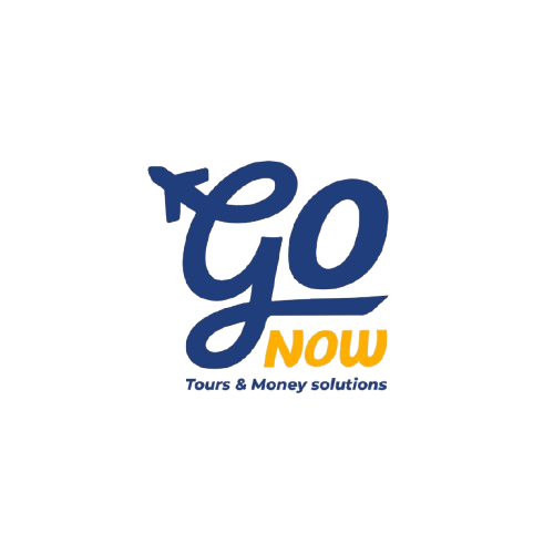 GO Now Tours Logo